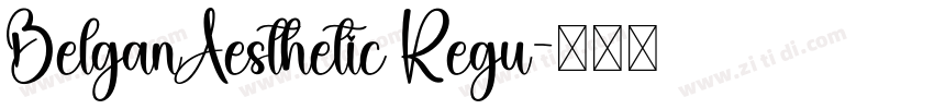 BelganAesthetic Regu字体转换